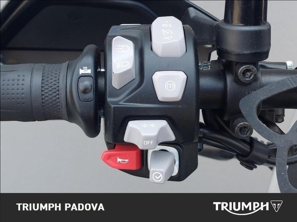 Triumph Tiger 900 Rally Pro (2020 - 23) (12)