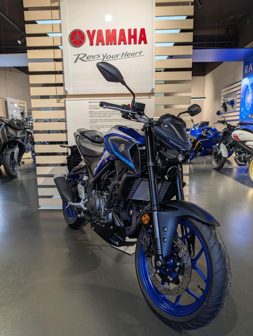 Yamaha MT-03 (2022 - 24) (2)
