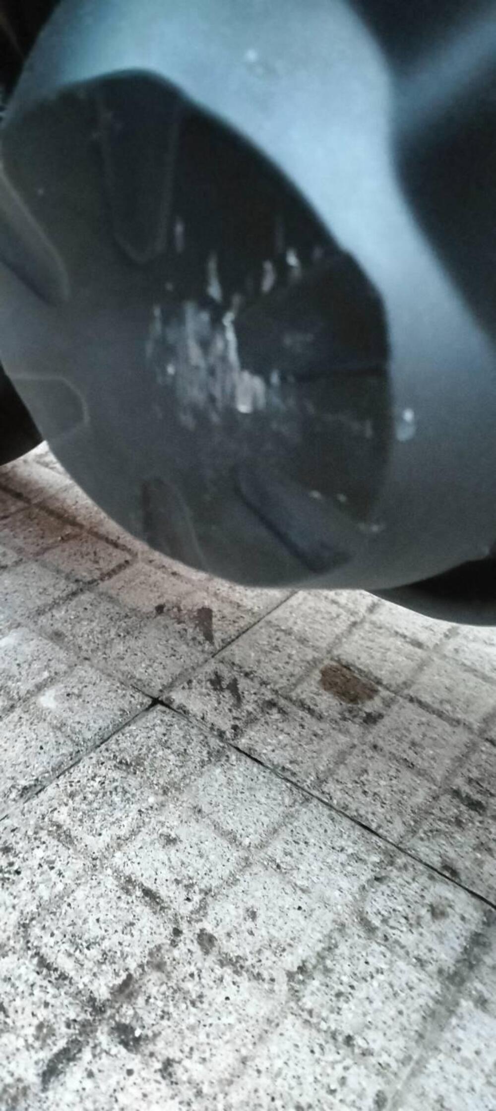 Kawasaki Z 750 (2007 - 14) (12)