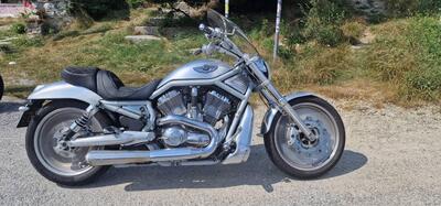 Harley-Davidson 1130 V-Rod (2002 - 05) - VRSCA usata