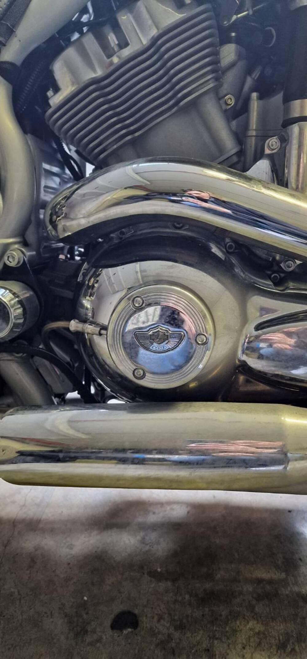 Harley-Davidson 1130 V-Rod (2002 - 05) - VRSCA (4)