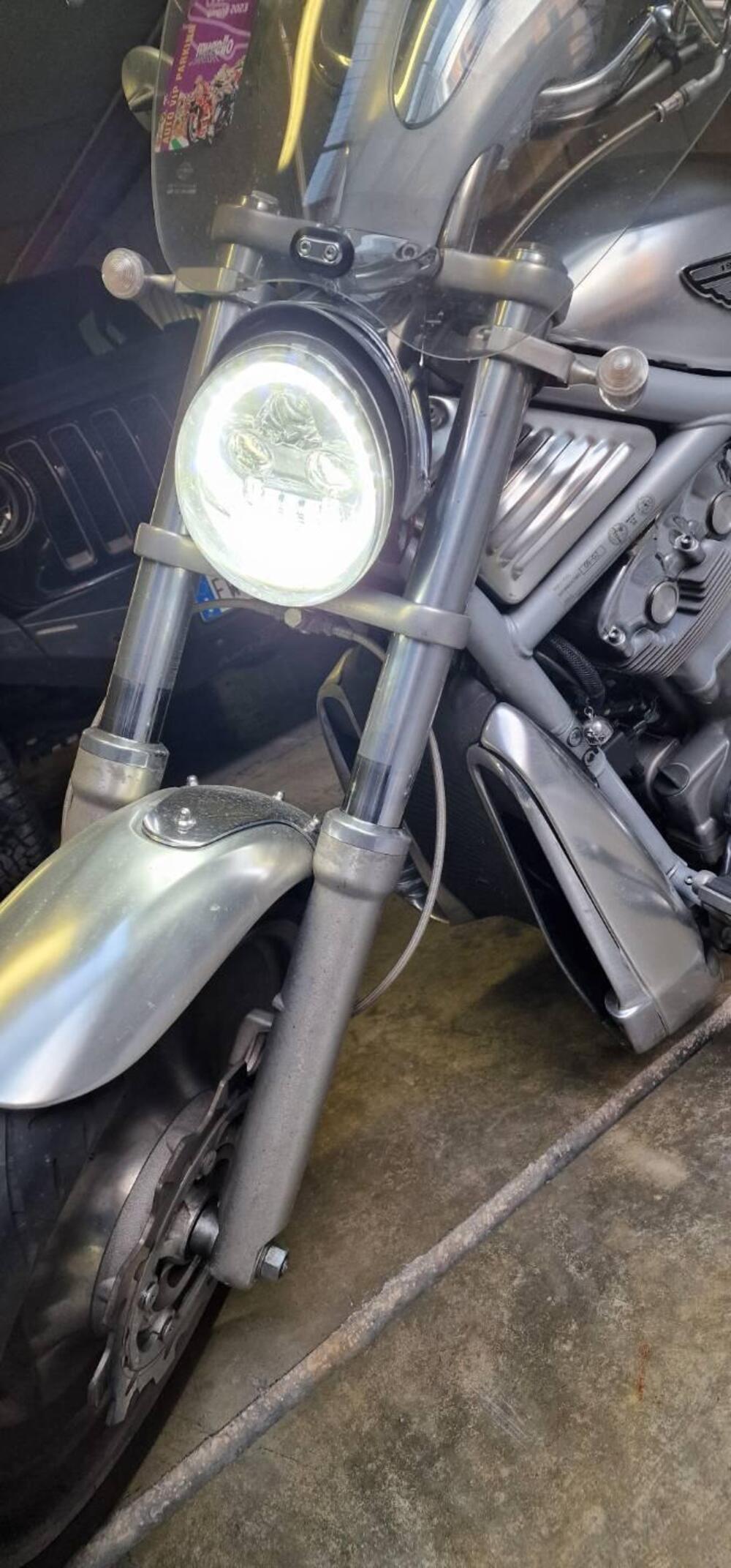 Harley-Davidson 1130 V-Rod (2002 - 05) - VRSCA (7)