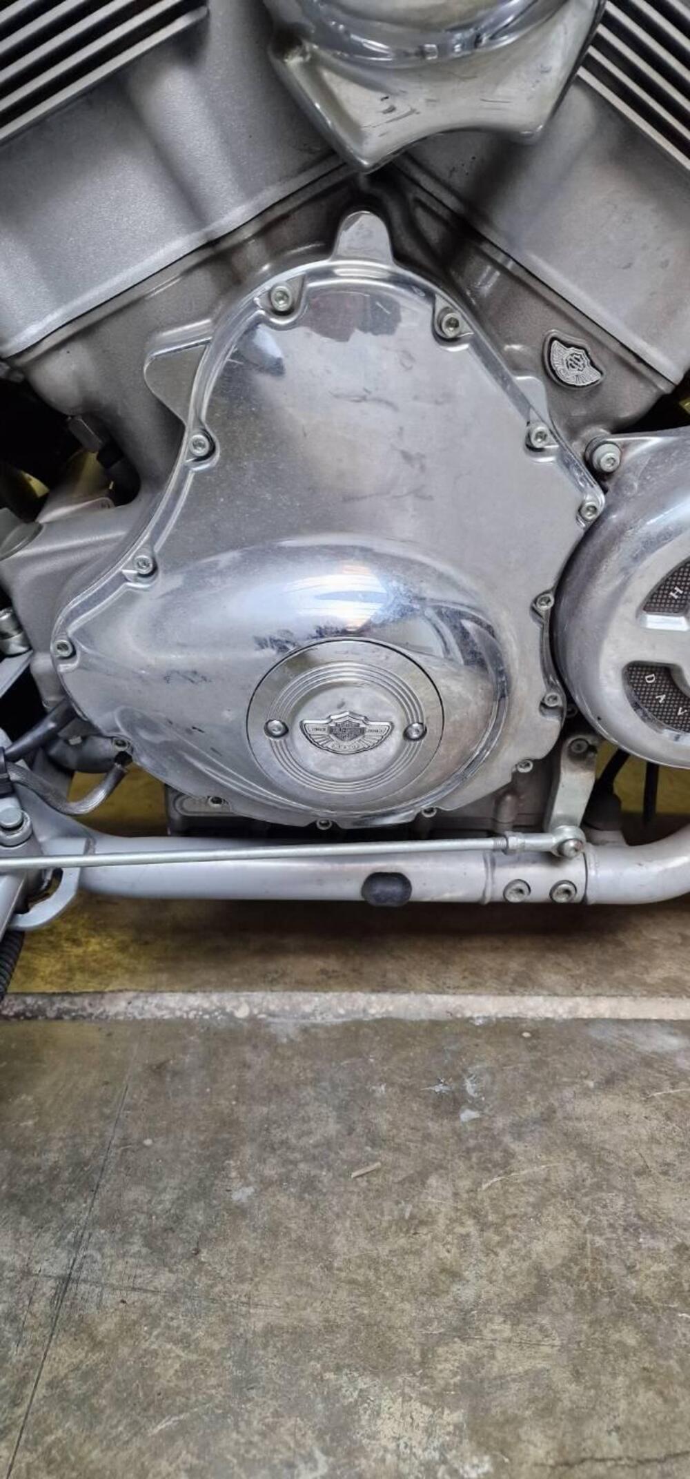 Harley-Davidson 1130 V-Rod (2002 - 05) - VRSCA (8)