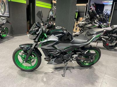 Kawasaki Z 500 SE (2024 - 26) usata