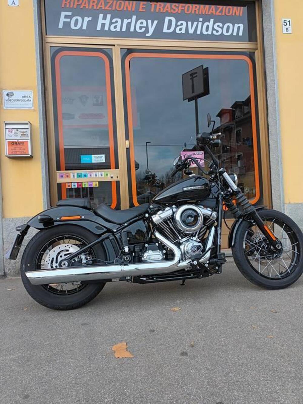 Harley-Davidson Street Bob 117 (2025 - 26) (8)