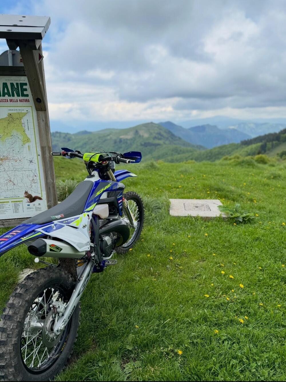 Sherco 250 SE Factory (2024) (2)