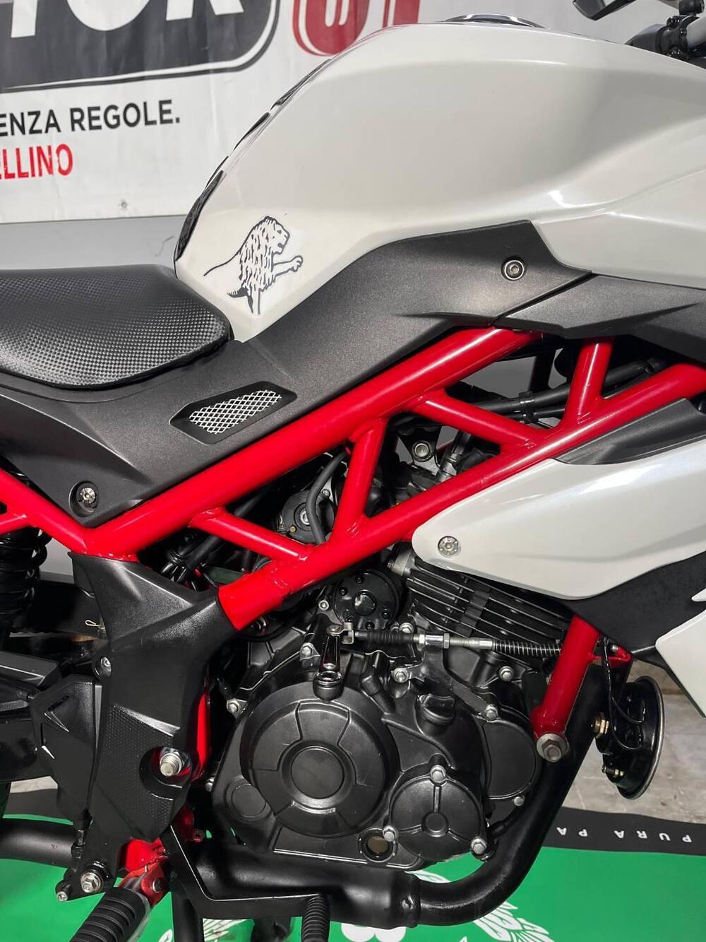 Benelli BN 125 (2018 - 20) (6)