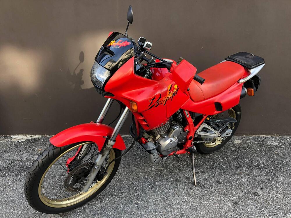 Honda NX 650 Dominator (1991 - 95) (4)