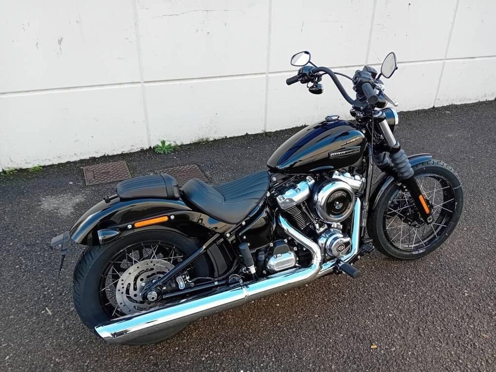 Harley-Davidson Street Bob 117 (2025 - 26) (4)