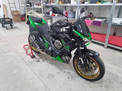 Kawasaki Z 800 (2012 - 13) usata