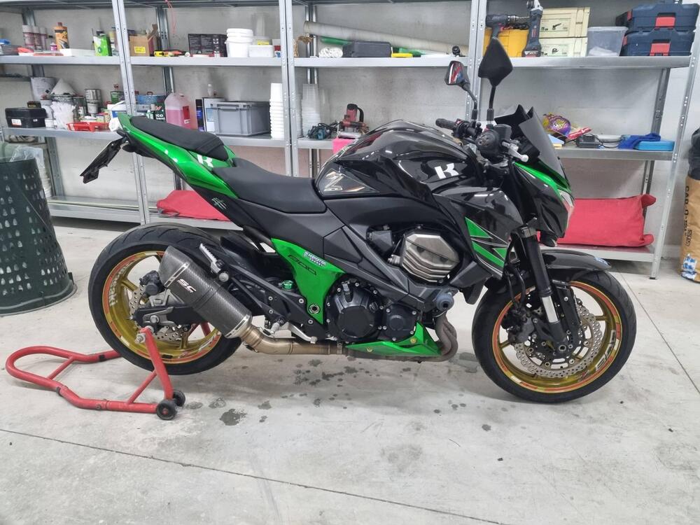 Kawasaki Z 800 (2012 - 13) (2)