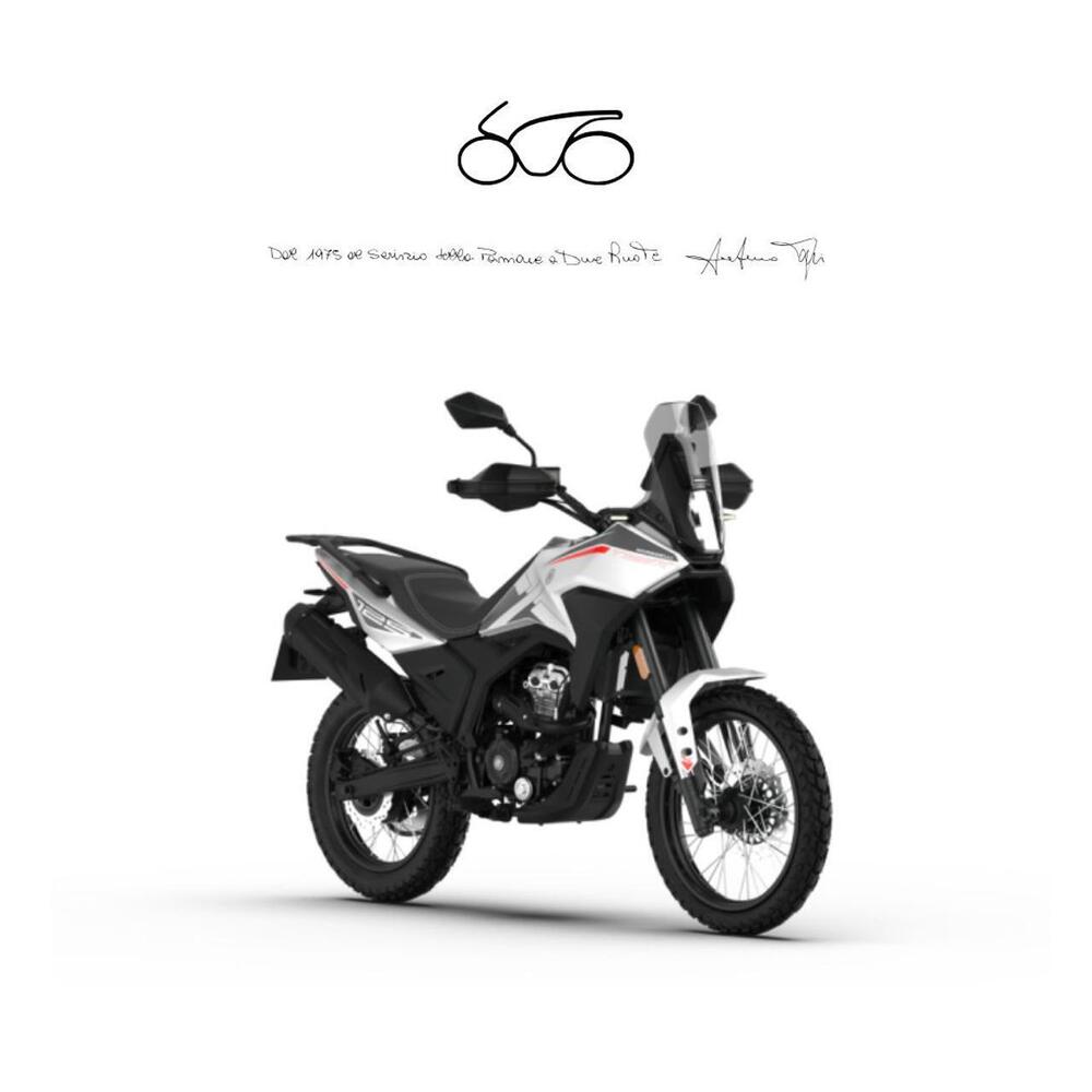 Morbidelli T125X (2025 - 26)