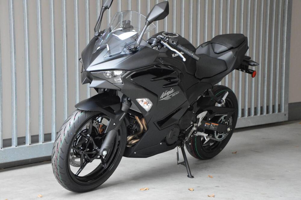 Kawasaki Ninja 500 (2024 - 26) (7)