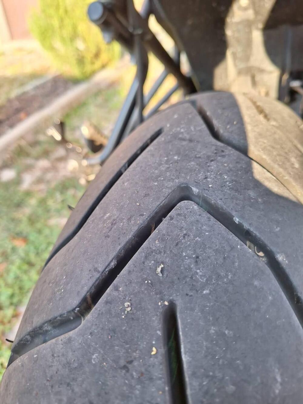 Triumph Tiger 800 XRx (2015 - 17) (13)