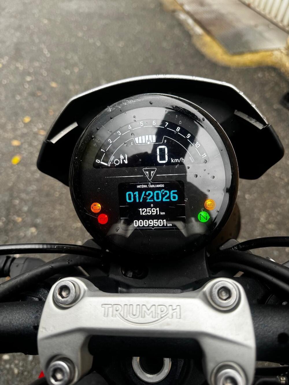 Triumph Trident 660 (2021 - 24) (5)