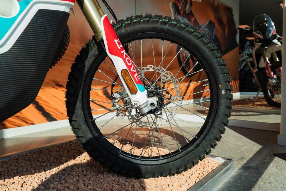 Kove 450 Rally Lucky Explorer Replica (2025) (4)