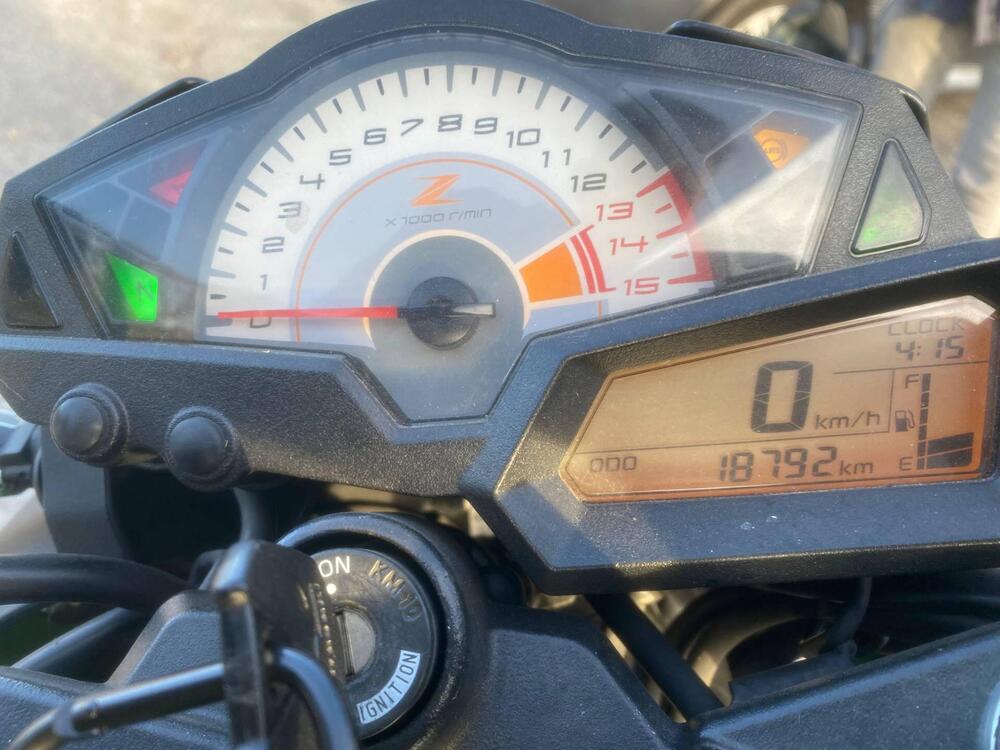 Kawasaki Z 300 ABS (2015 - 16) (6)