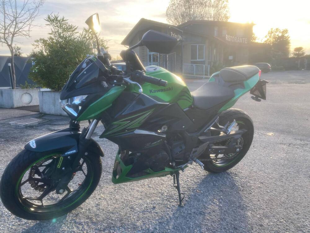 Kawasaki Z 300 ABS (2015 - 16) (2)