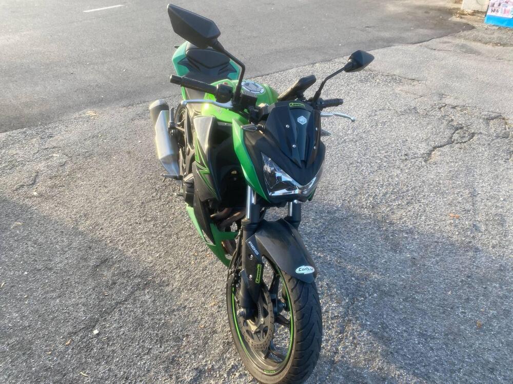 Kawasaki Z 300 ABS (2015 - 16) (3)