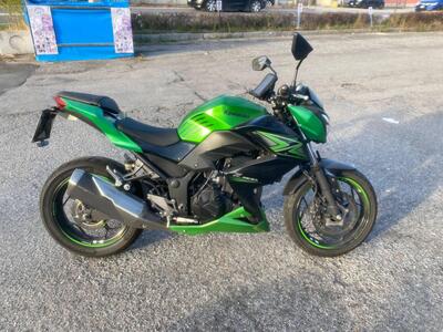 Kawasaki Z 300 ABS (2015 - 16) usata
