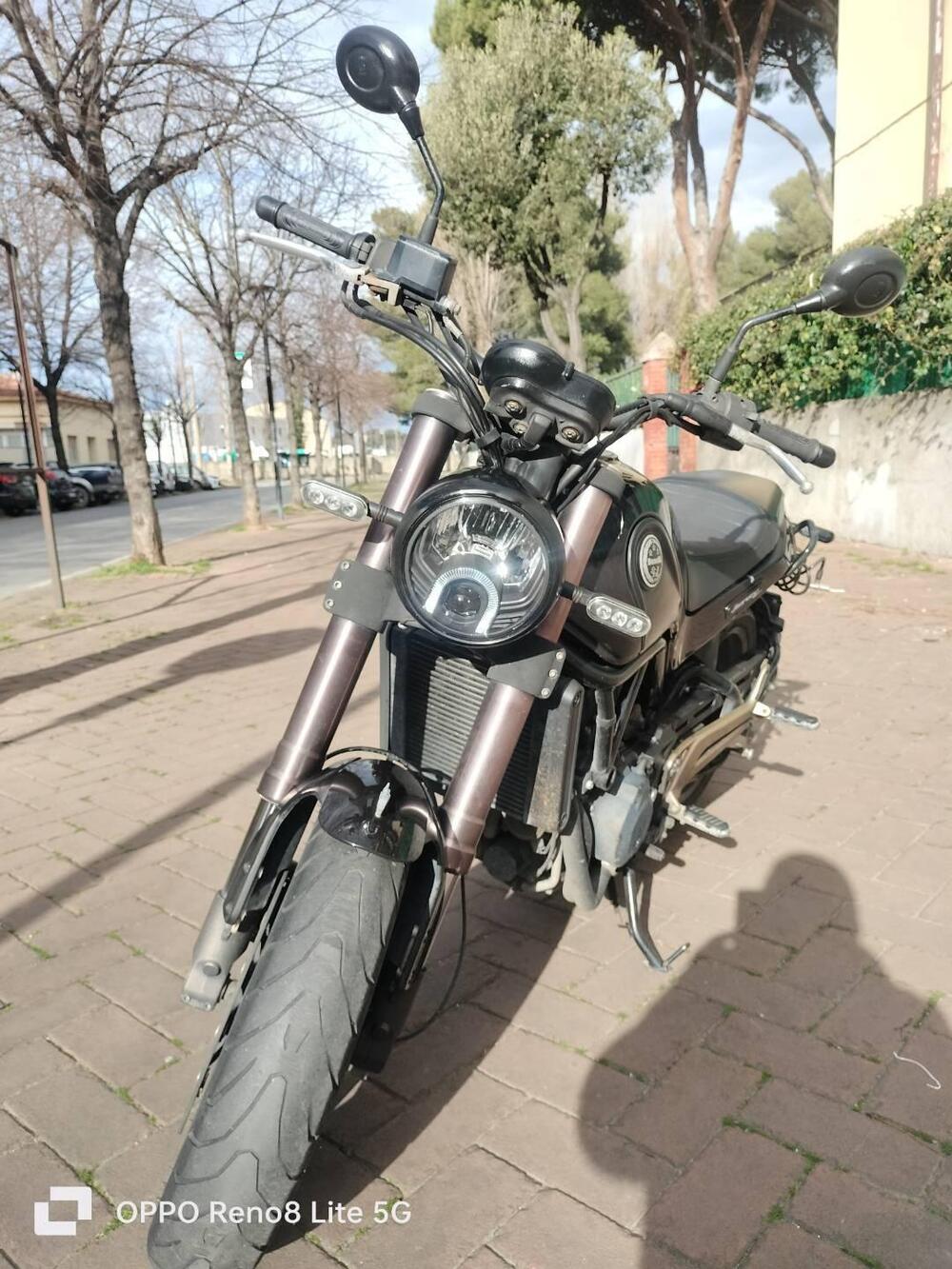 Benelli Leoncino 500 ABS (2017 - 20) (3)
