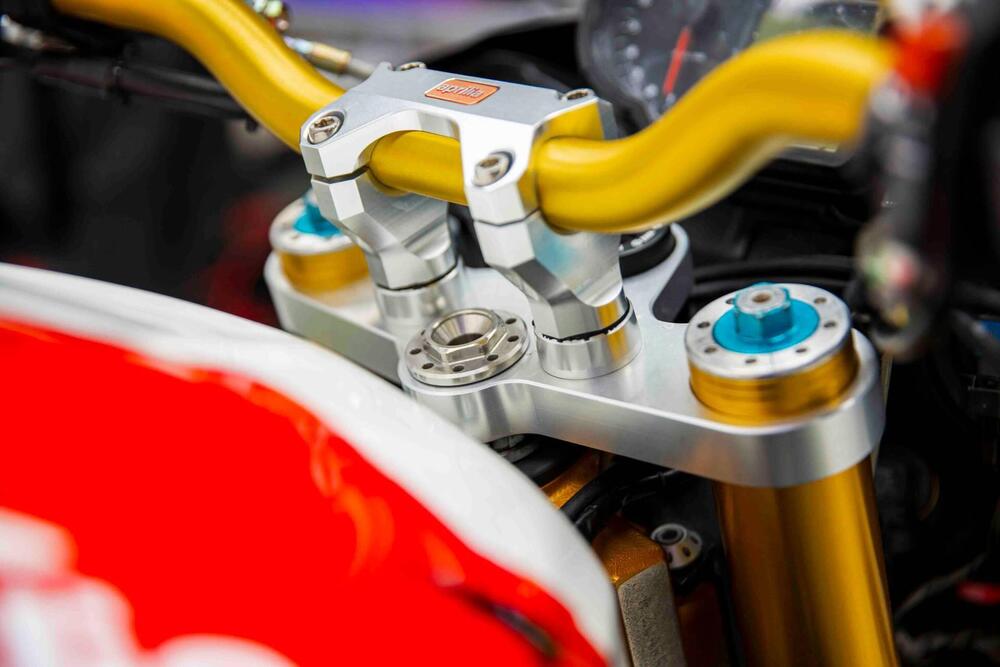 Aprilia Tuono 1000 R Factory (2006 - 11) (10)