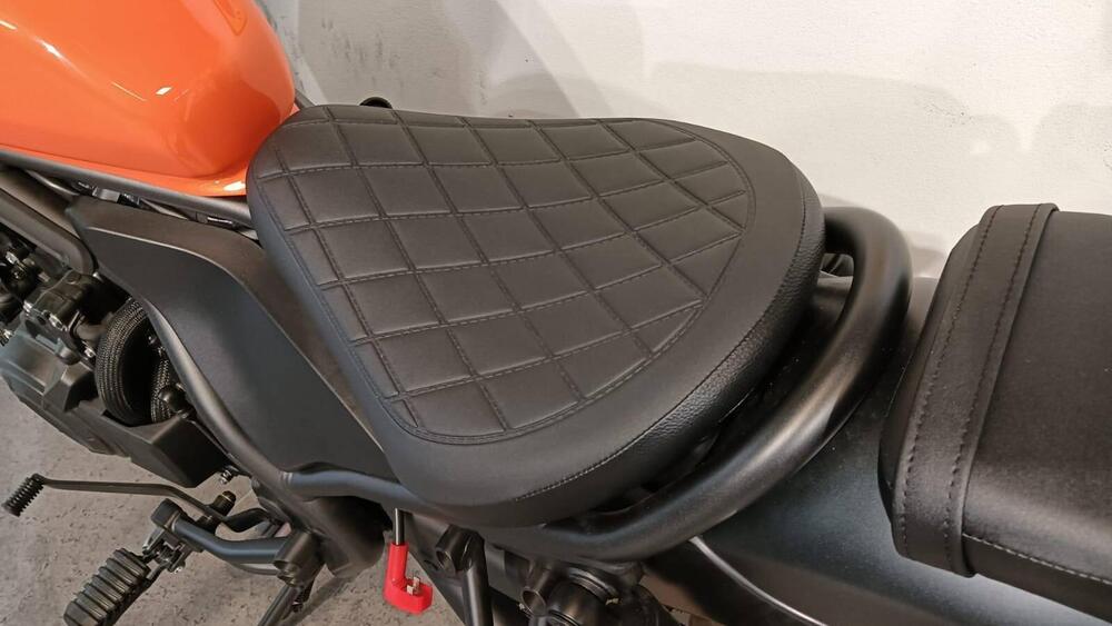 Honda CMX 500 Rebel + Special Edition (2025 - 26) (8)