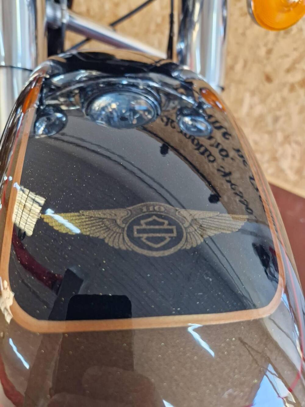 Harley-Davidson 1690 Road King (2013 - 16) - FLHR (18)