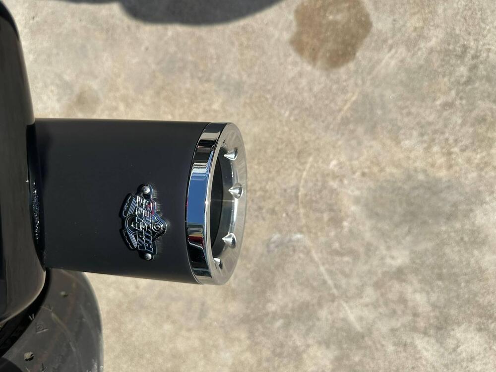 Harley-Davidson Road Glide ST (2022 - 23) (13)