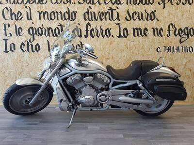 Harley-Davidson 1130 V-Rod (2002 - 05) - VRSCA usata