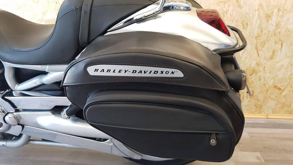 Harley-Davidson 1130 V-Rod (2002 - 05) - VRSCA (7)