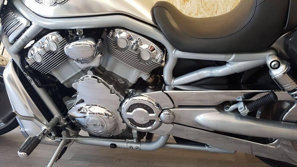 Harley-Davidson 1130 V-Rod (2002 - 05) - VRSCA (8)