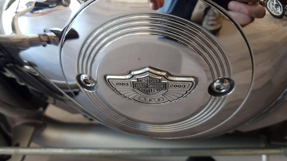 Harley-Davidson 1130 V-Rod (2002 - 05) - VRSCA (9)