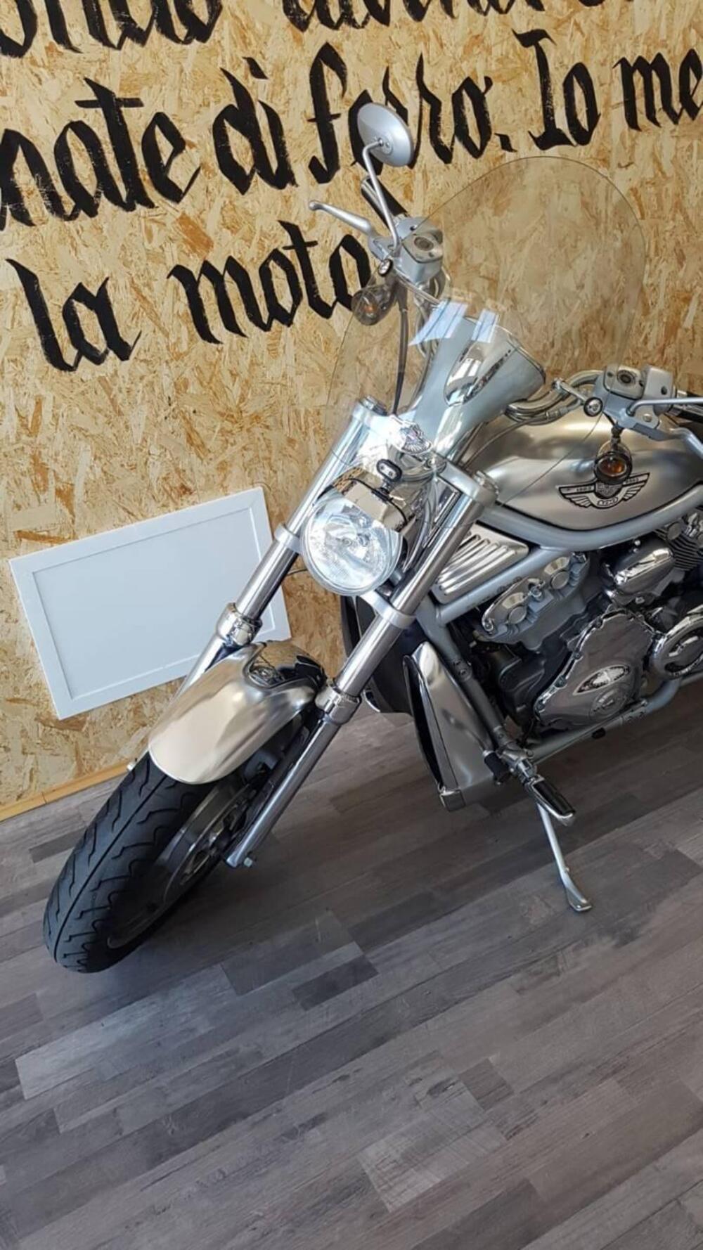 Harley-Davidson 1130 V-Rod (2002 - 05) - VRSCA (4)