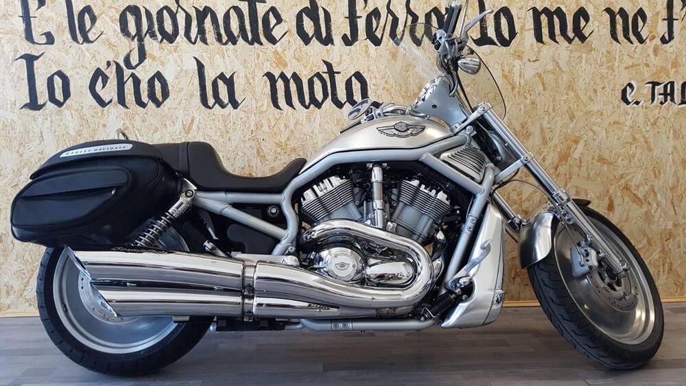 Harley-Davidson 1130 V-Rod (2002 - 05) - VRSCA (3)