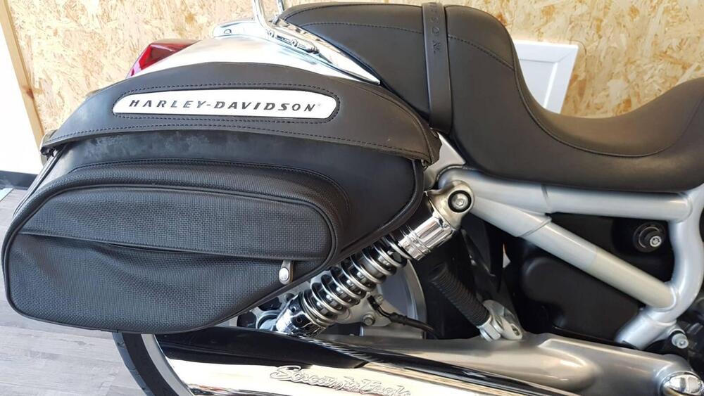 Harley-Davidson 1130 V-Rod (2002 - 05) - VRSCA (14)