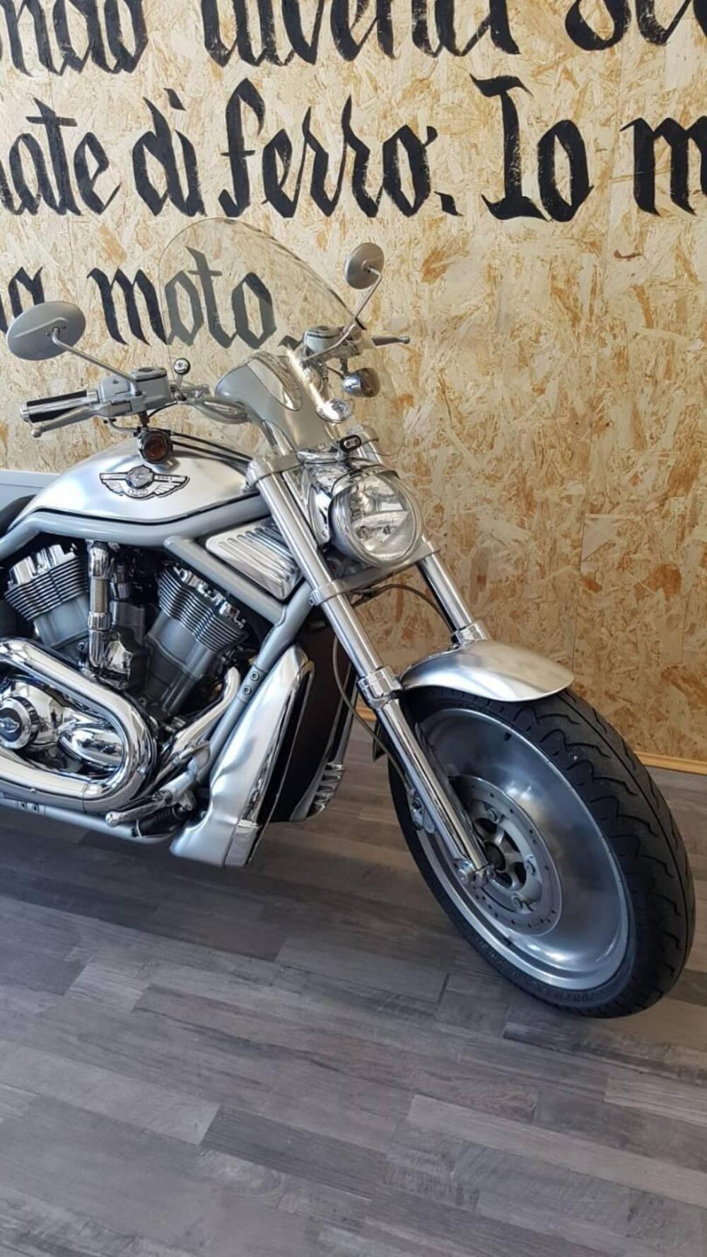 Harley-Davidson 1130 V-Rod (2002 - 05) - VRSCA (6)