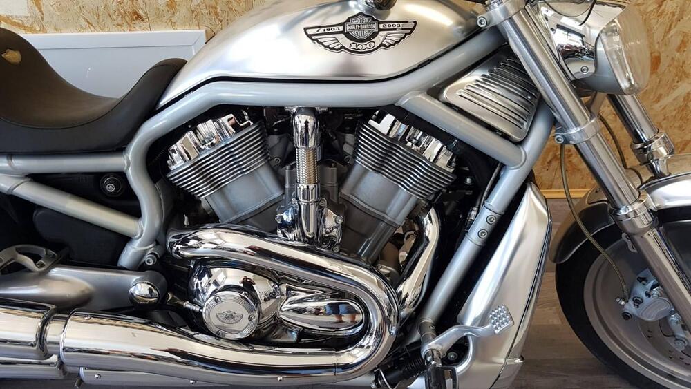 Harley-Davidson 1130 V-Rod (2002 - 05) - VRSCA (15)