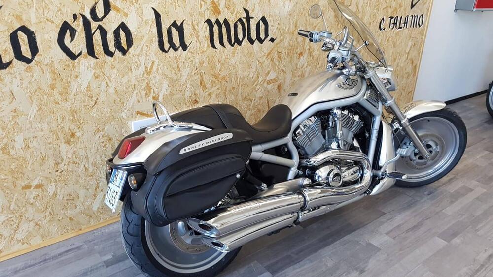 Harley-Davidson 1130 V-Rod (2002 - 05) - VRSCA (5)