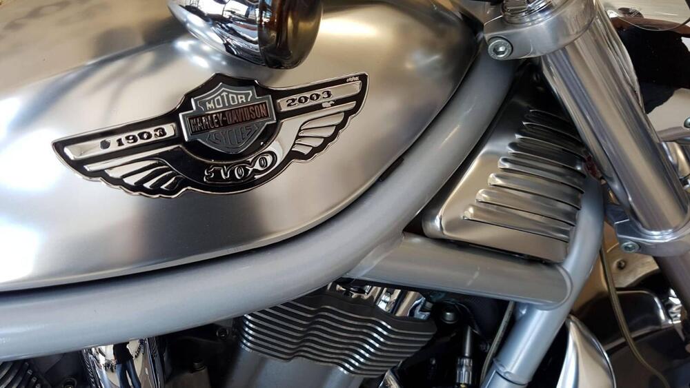 Harley-Davidson 1130 V-Rod (2002 - 05) - VRSCA (17)