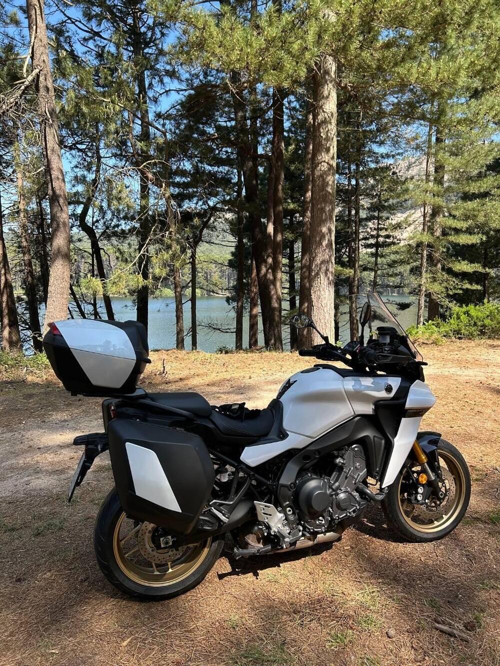 Yamaha Tracer 9 GT (2021 - 24) (2)