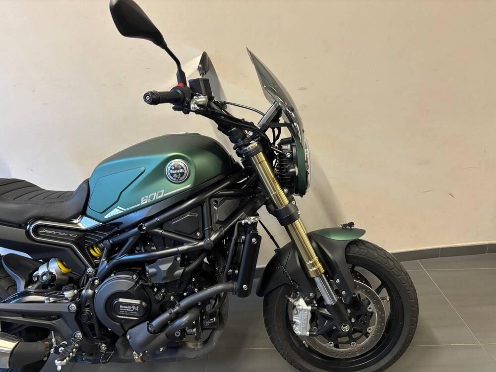 Benelli Leoncino 800 (2022 - 26) (9)