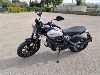 Ducati Scrambler 800 Icon (2023 - 24) usata