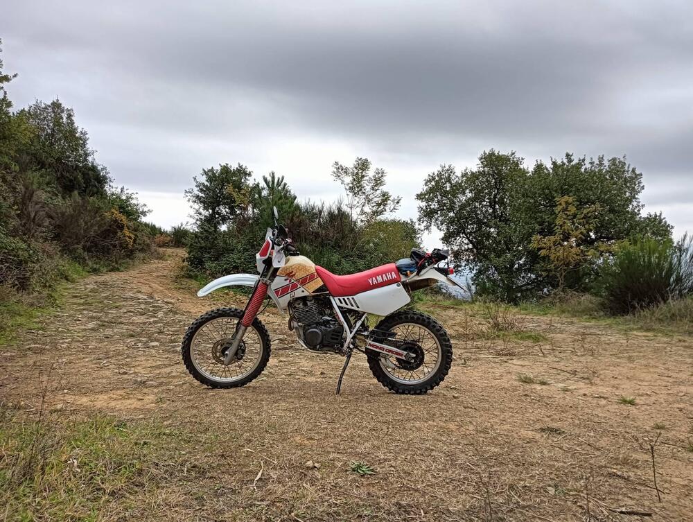 Yamaha TT 350 (1986 - 95)