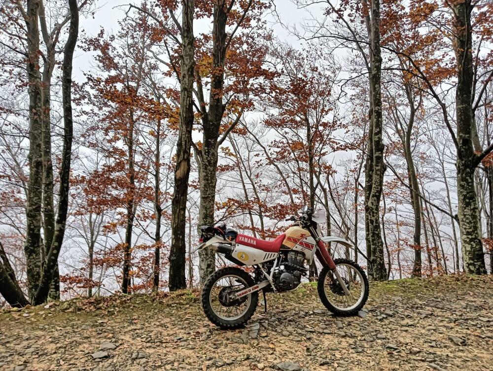 Yamaha TT 350 (1986 - 95) (2)