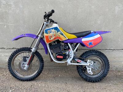  Altre moto o tipologie Minimoto usata