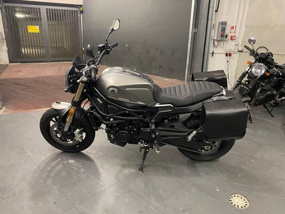 Benelli Leoncino 800 (2022 - 26)