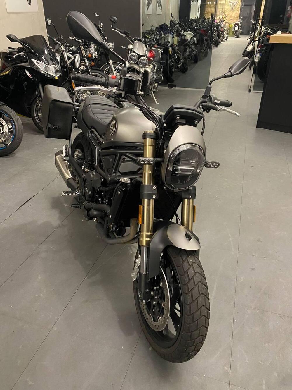 Benelli Leoncino 800 (2022 - 26) (6)