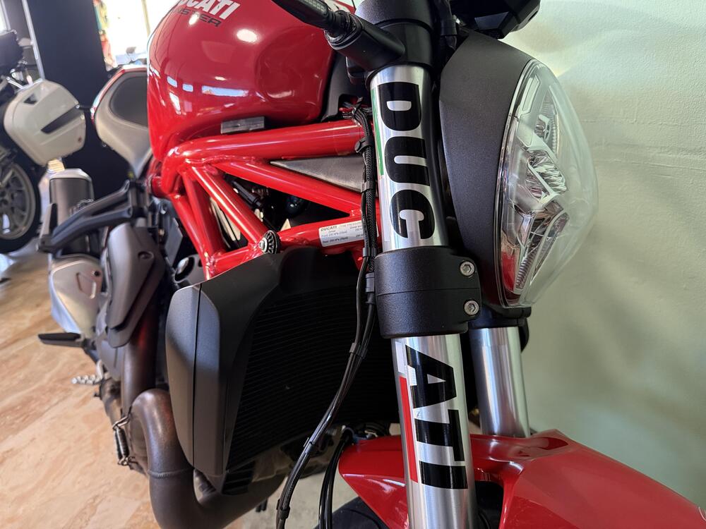 Ducati Monster 821 (2018 - 20) (10)