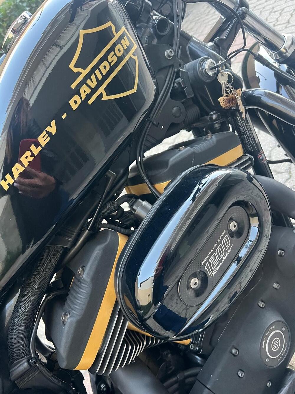 Harley-Davidson 1200 Roadster (2006 - 08) - XL 1200R (9)